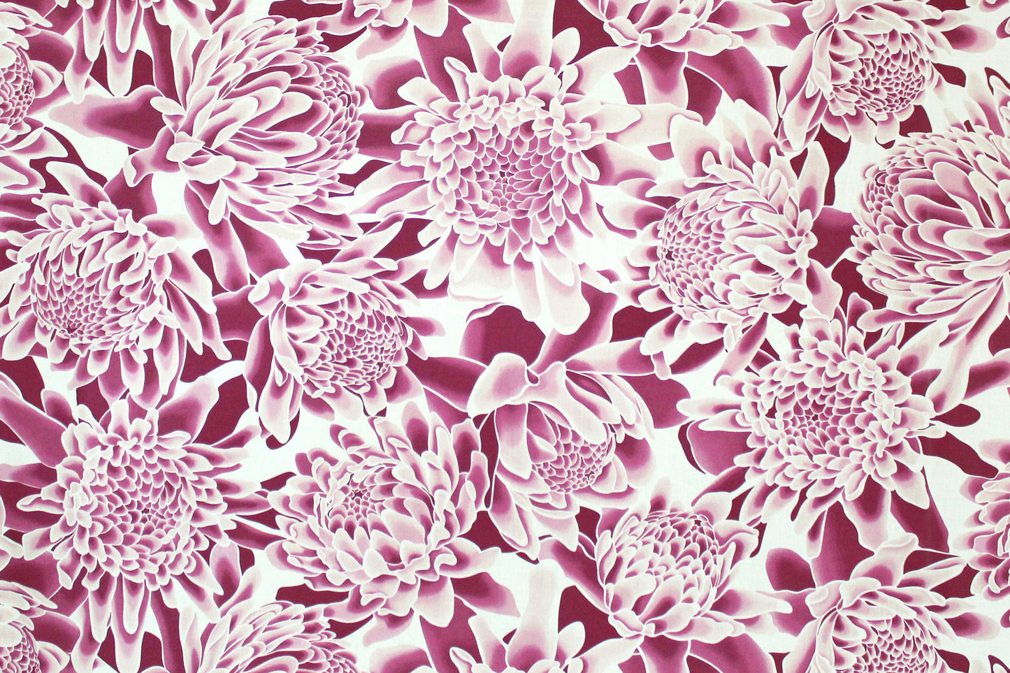 PAB1064 Plum/Off White