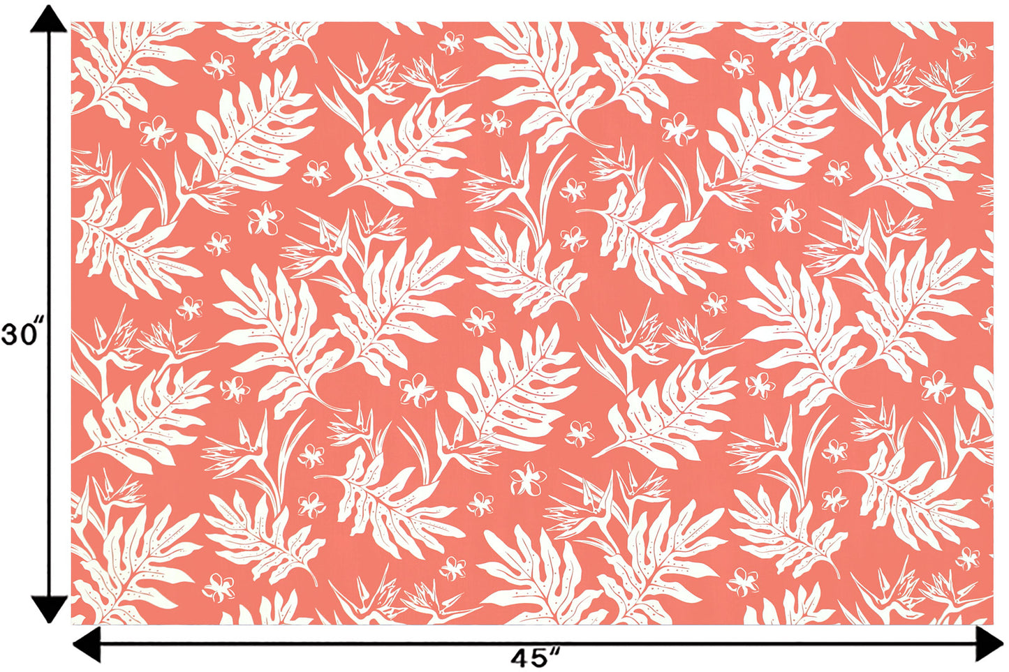 PAB1065 Coral