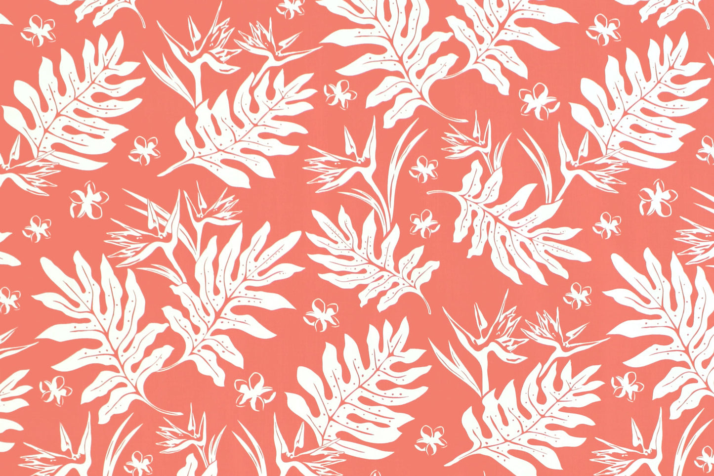 PAB1065 Coral