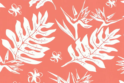 PAB1065 Coral