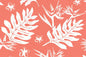 PAB1065 Coral