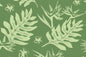 PAB1065 Sage