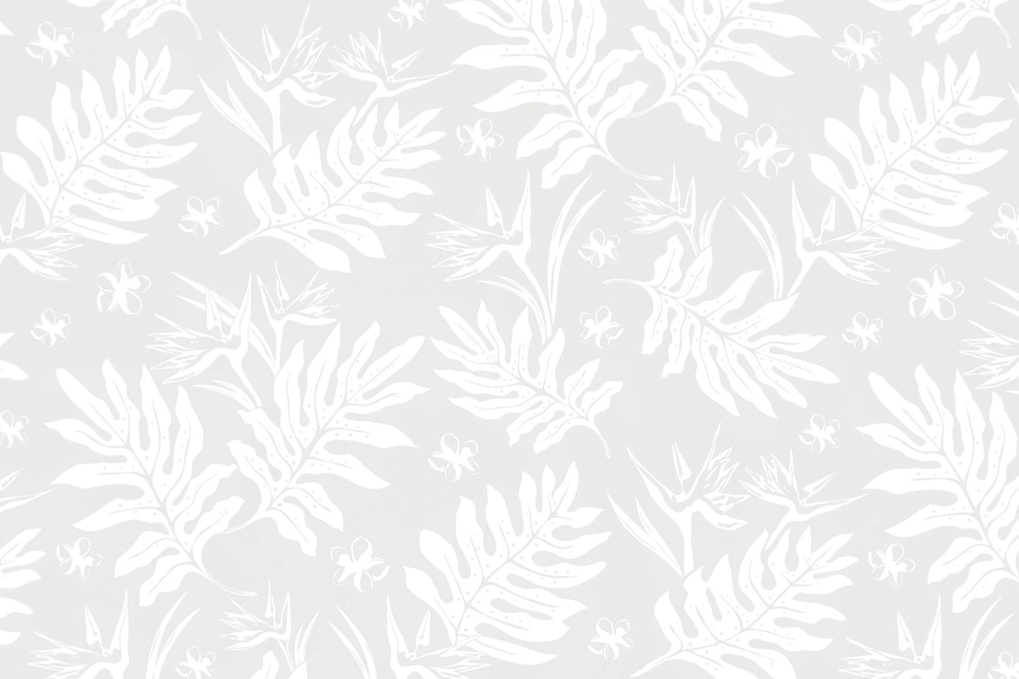PAB1065 White/White