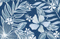 PAB1070 Blue
