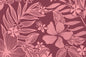 PAB1070 Purple