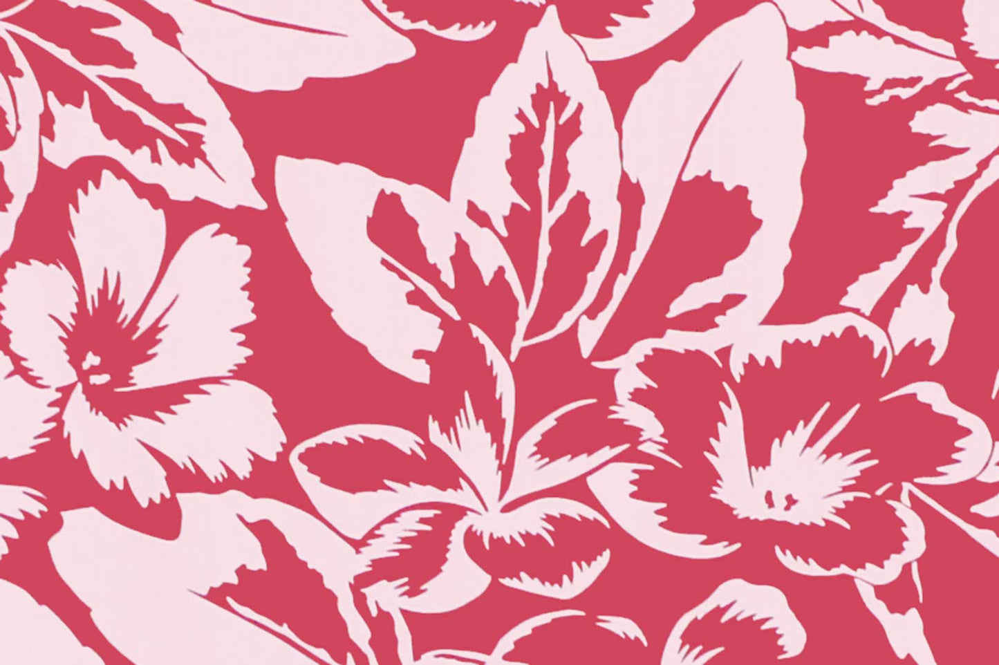 PAB1072 Dusty Rose