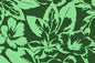 PAB1072 Green
