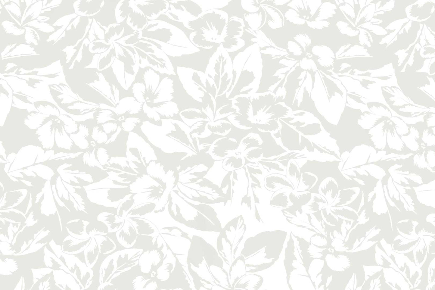 PAB1072 White/White