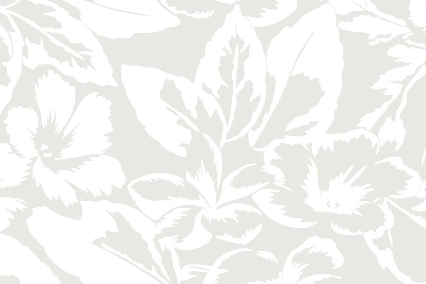 PAB1072 White/White