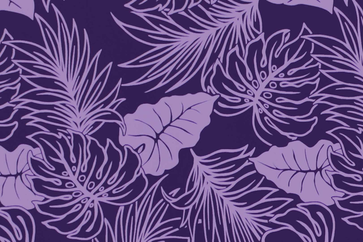 PAB1074 Purple