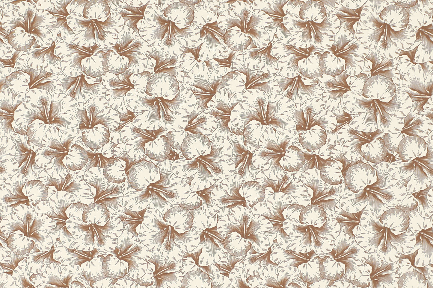 PAB1076 Coconut
