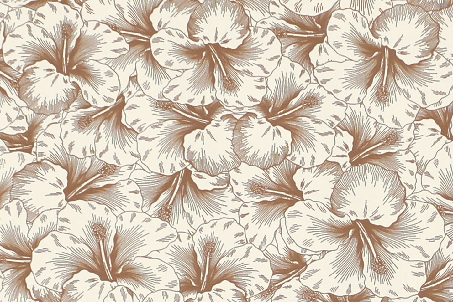 PAB1076 Coconut