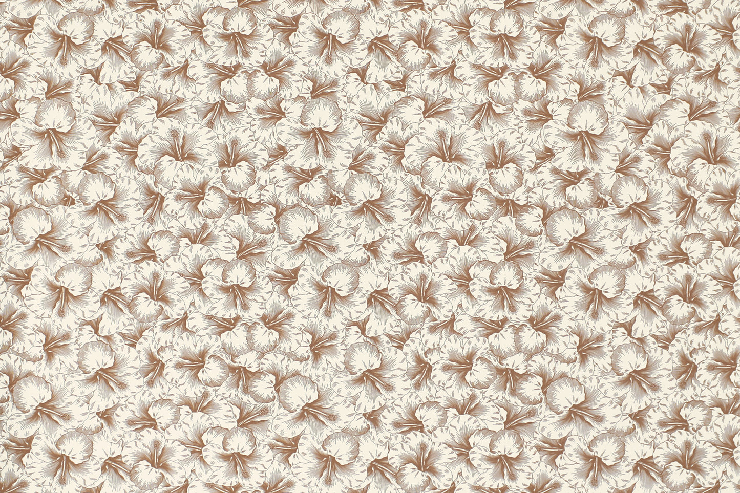 PAB1076 Coconut