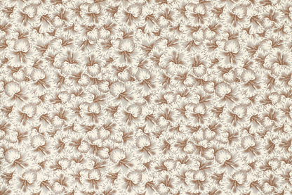 PAB1076 Coconut
