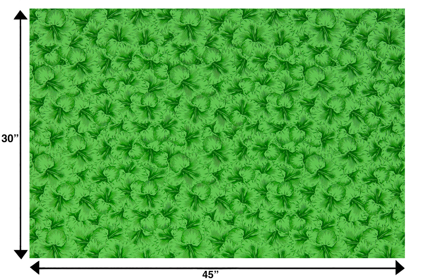 PAB1076 Kiwi