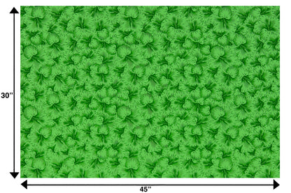 PAB1076 Kiwi