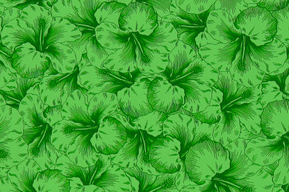 PAB1076 Kiwi