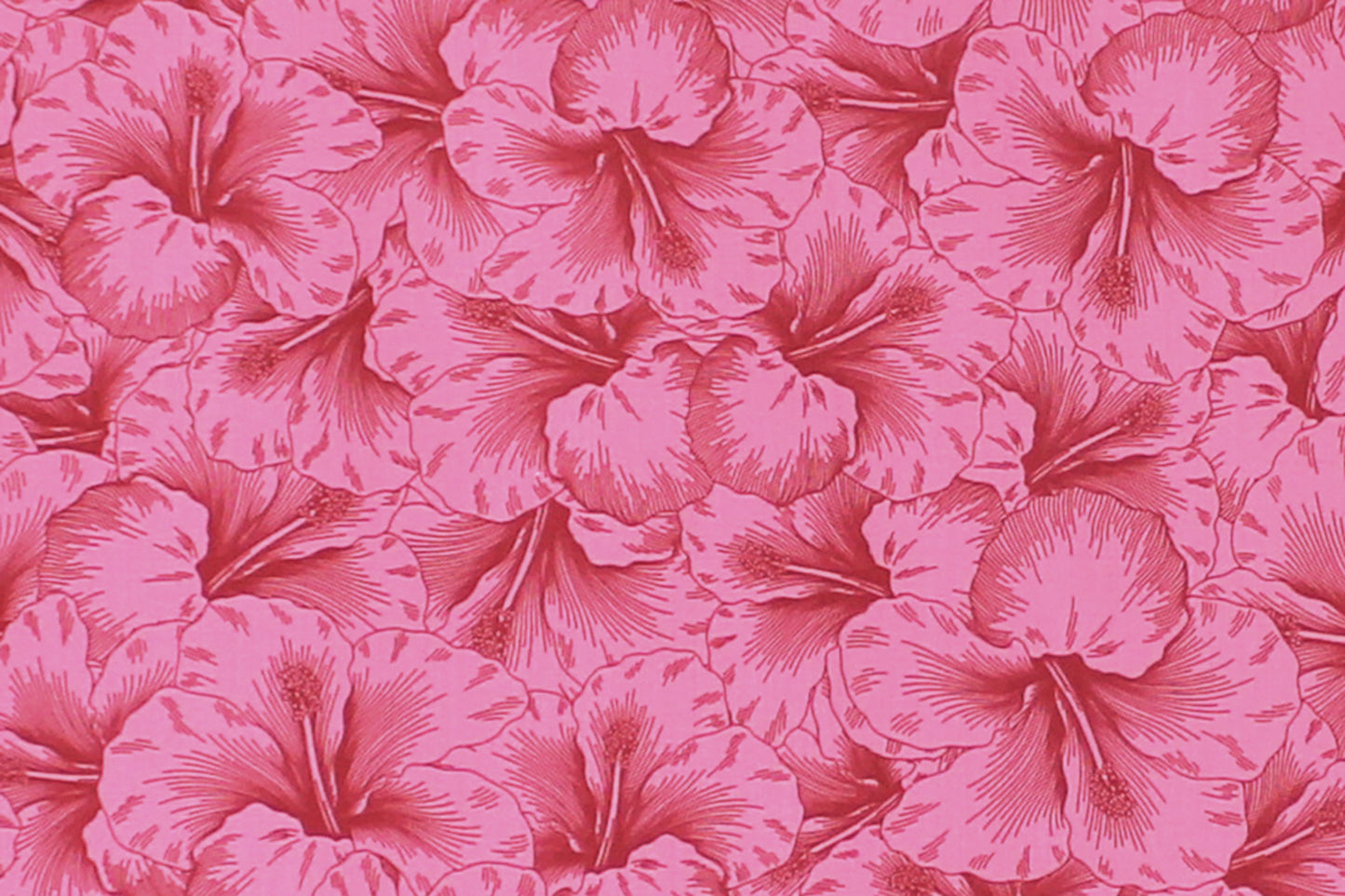 PAB1076 Magenta