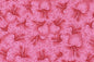 PAB1076 Magenta