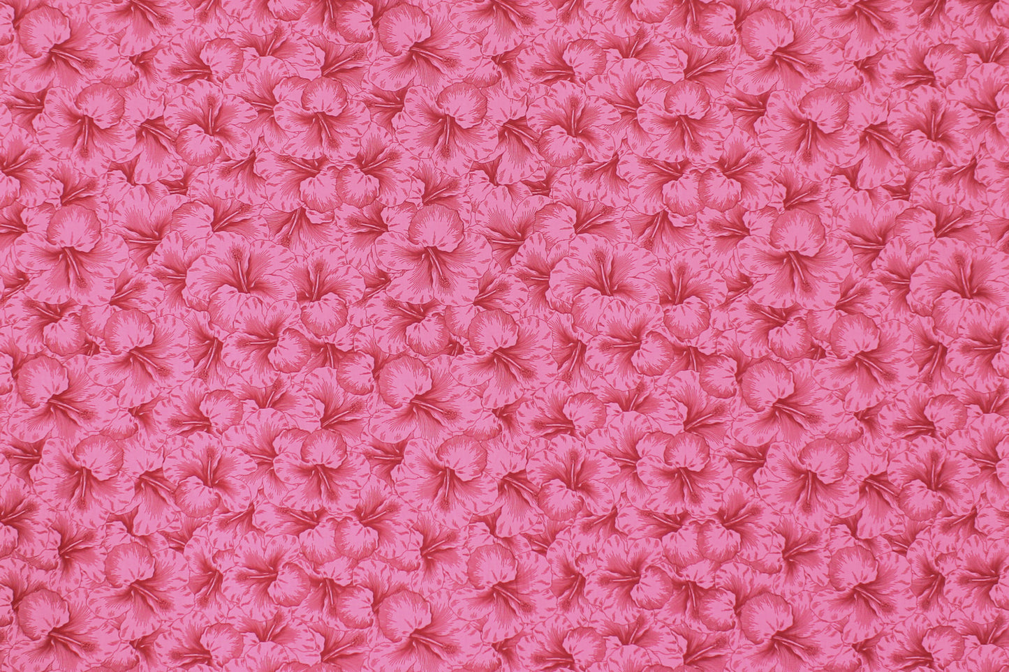 PAB1076 Magenta
