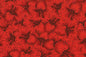 PAB1076 Red