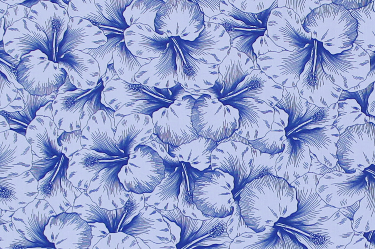 PAB1076 Royal