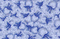 PAB1076 Royal