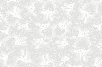 PAB1076 White