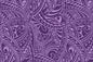 PAC1426 Purple