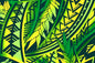 PAC1429 Green