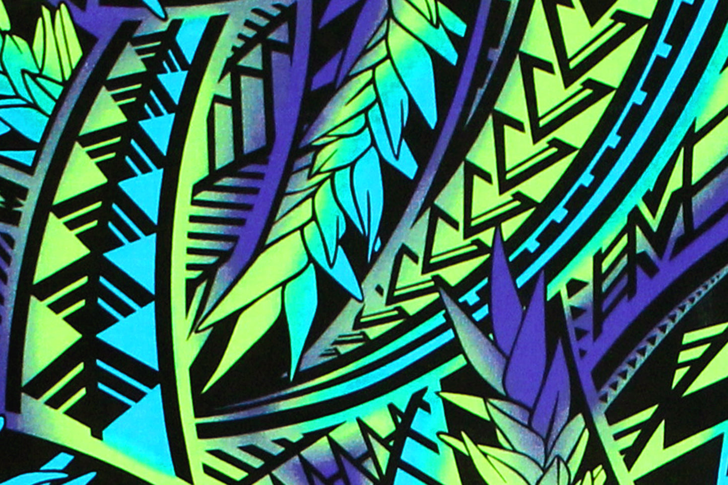PAC1429 Purple/Turquoise