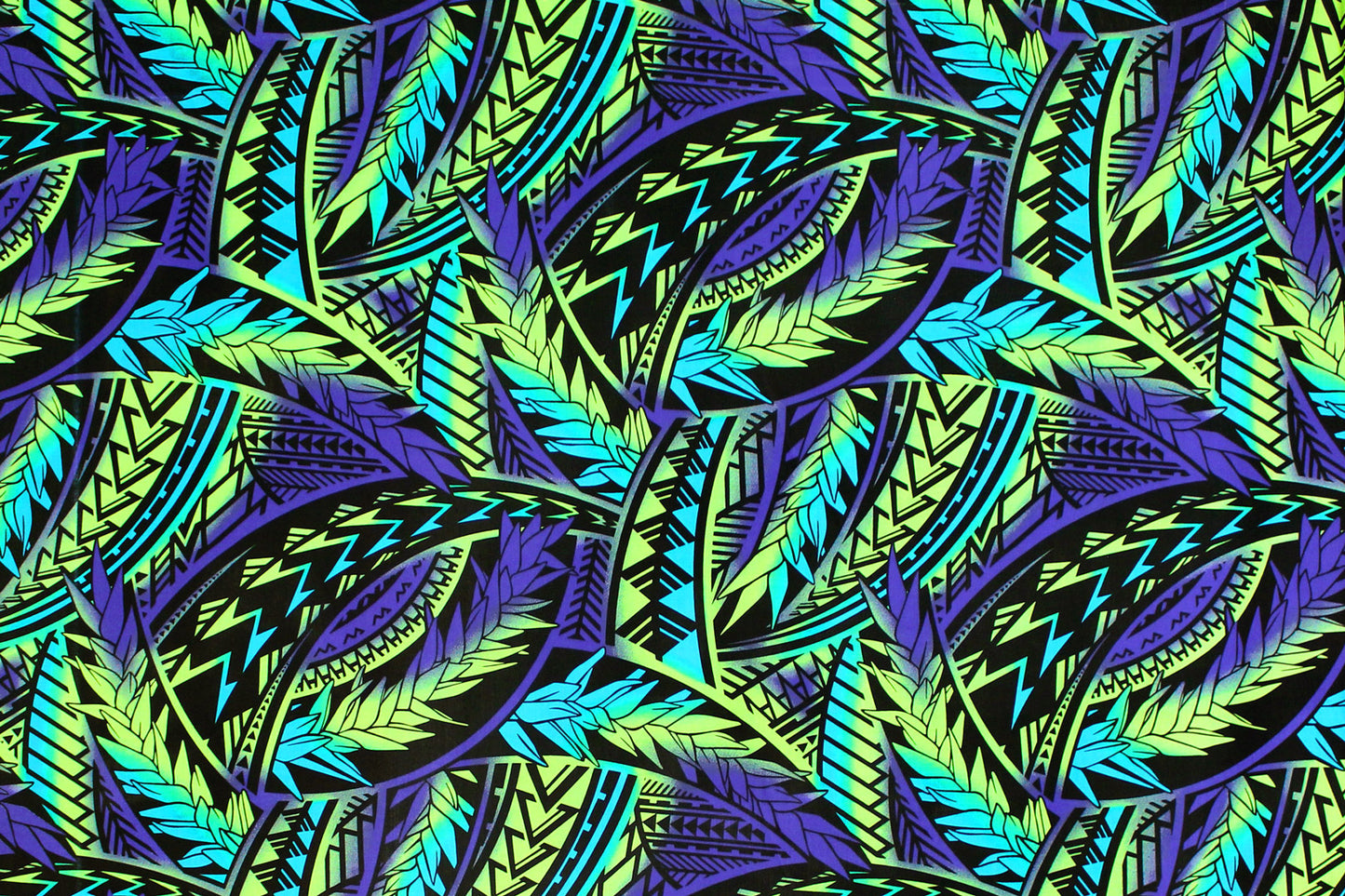 PAC1429 Purple/Turquoise
