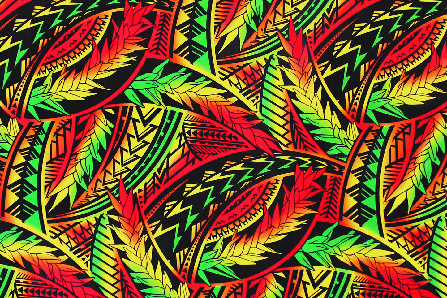 PAC1429 Rasta
