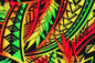 PAC1429 Rasta