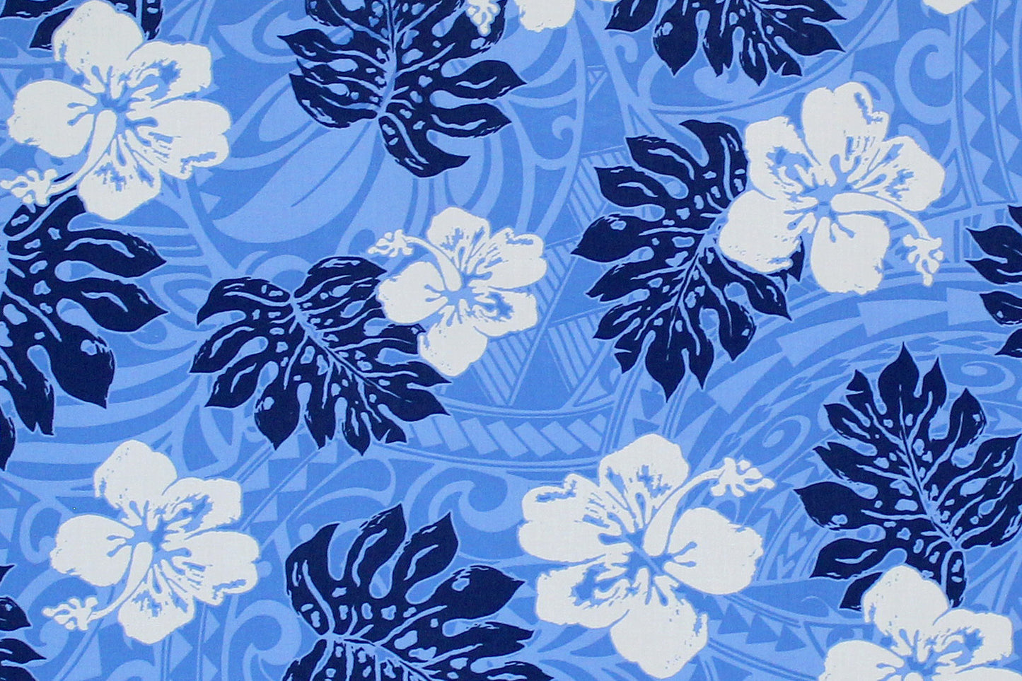 PAC1438 Blue