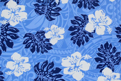 PAC1438 Blue