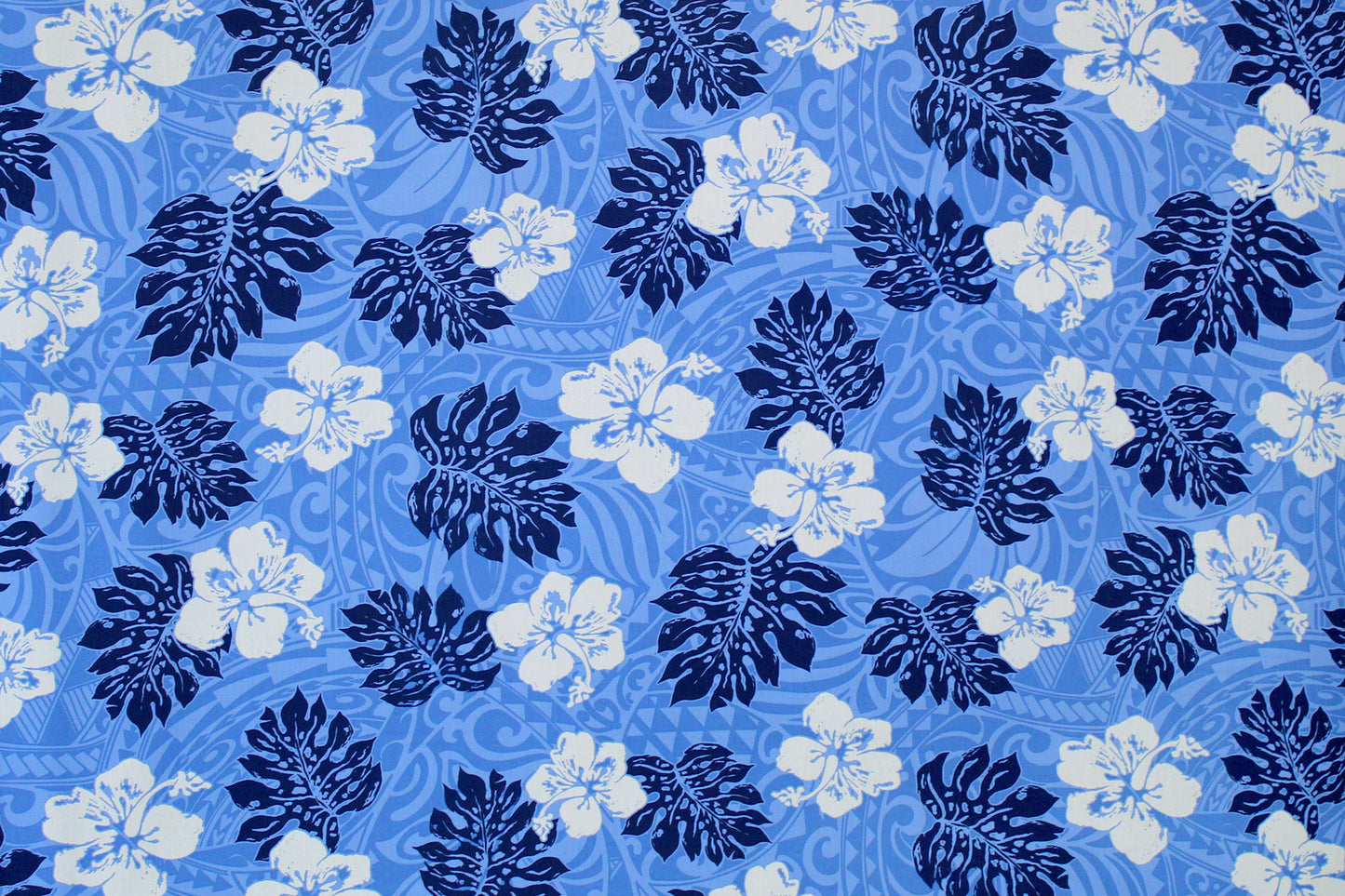 PAC1438 Blue