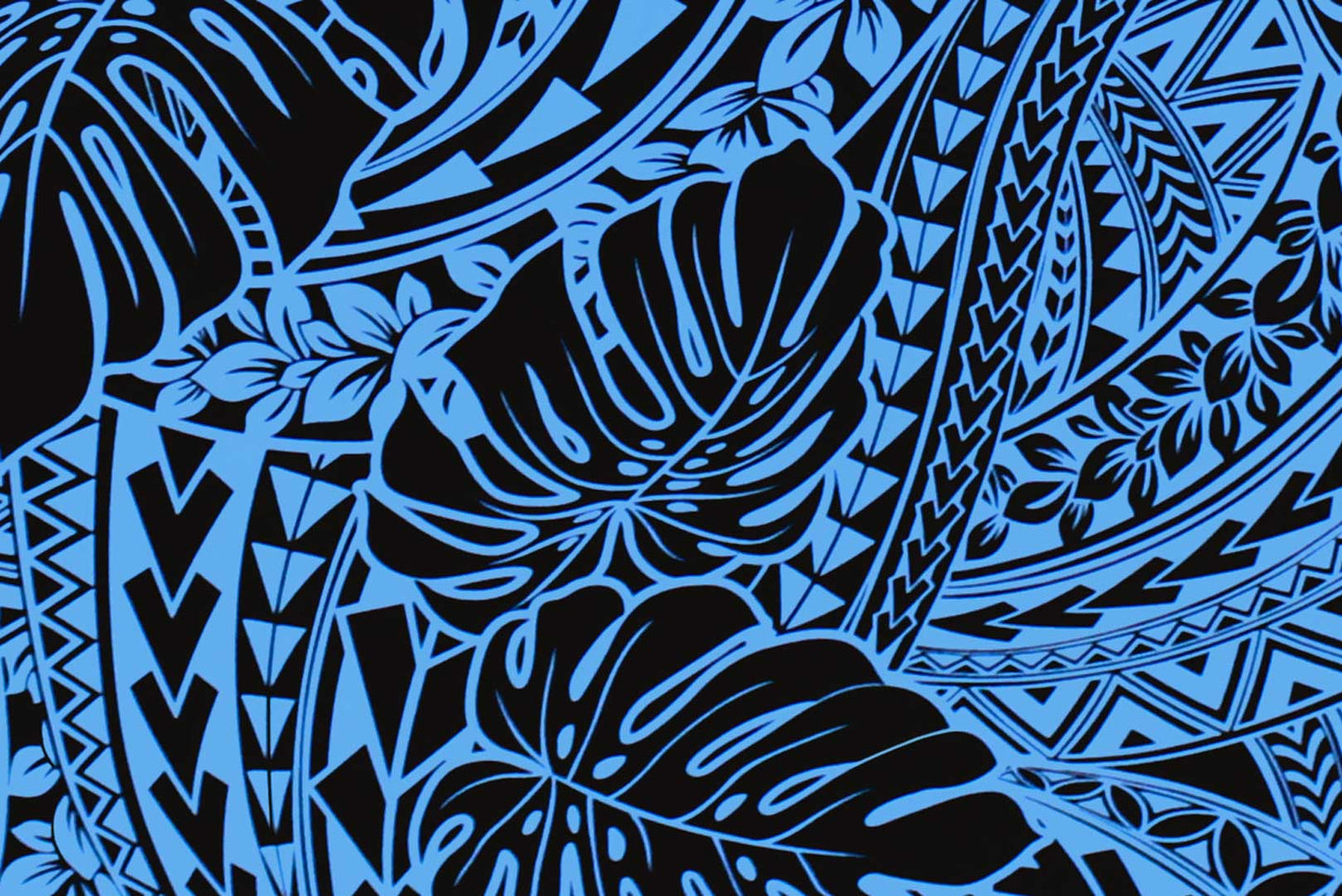 PAC1448 Turquoise