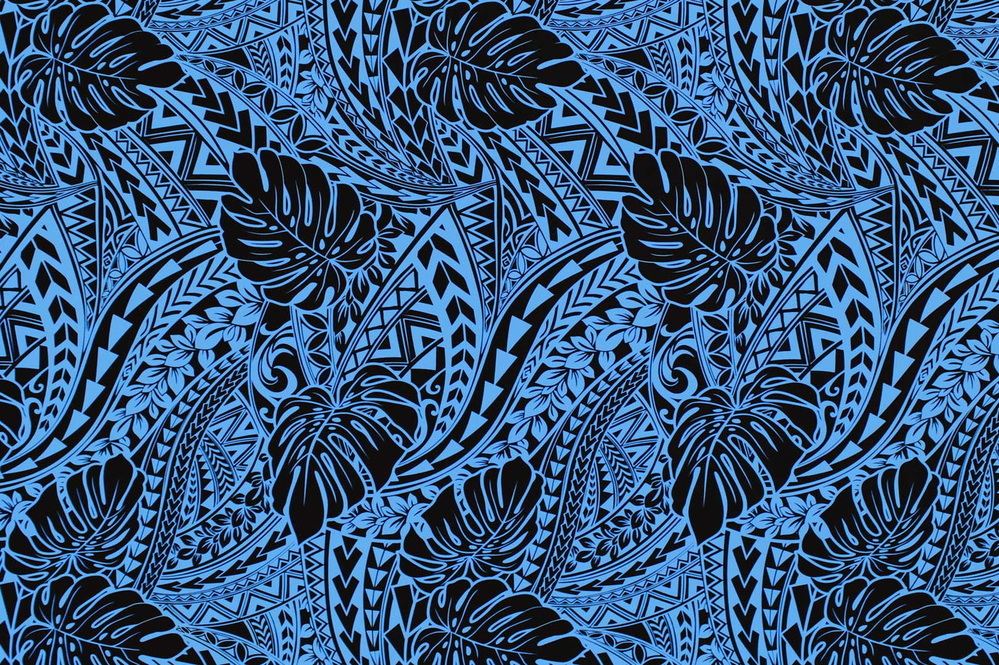 PAC1448 Turquoise