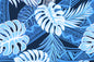 PAC1449 Navy