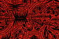 PAC1461 Black Red