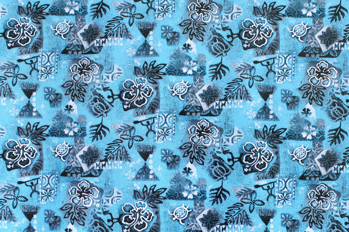 PAC1464 Teal