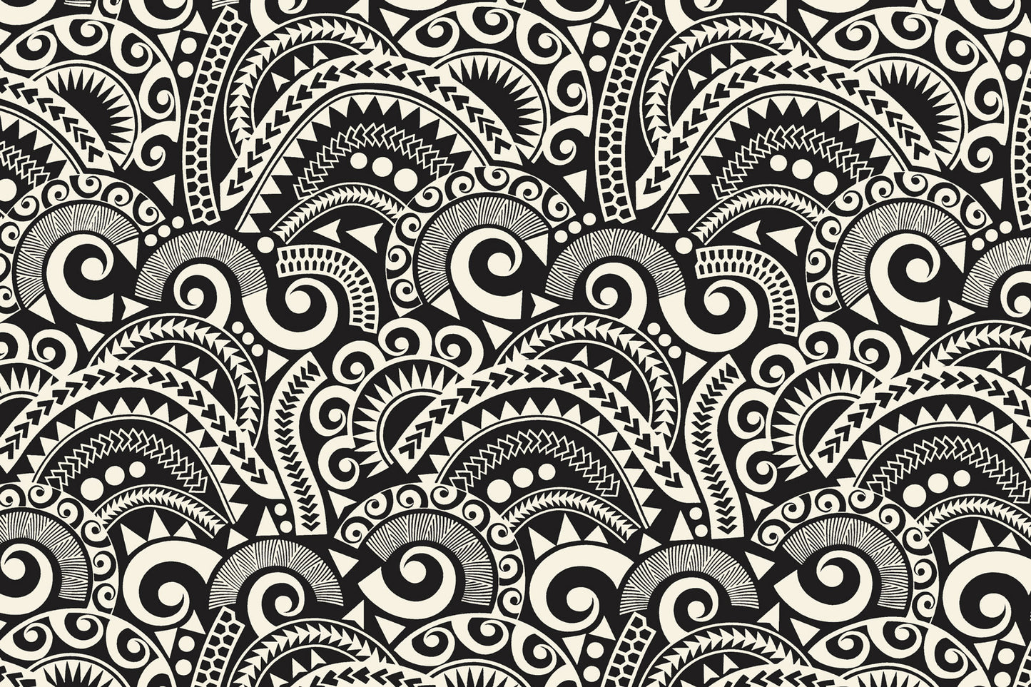 PAC1473 Black/Cream