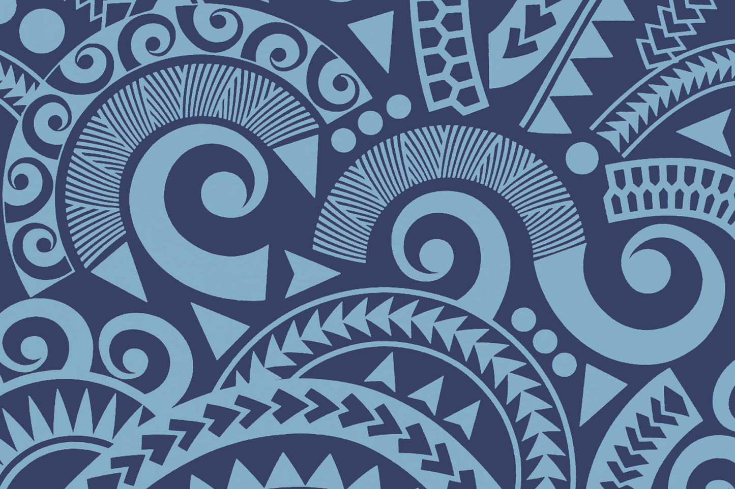 PAC1473 Navy