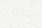 PAC1479 White/White