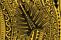PAC1483 Black/Yellow