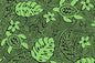 PAC1486 Black/Sage