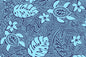 PAC1486 Blue