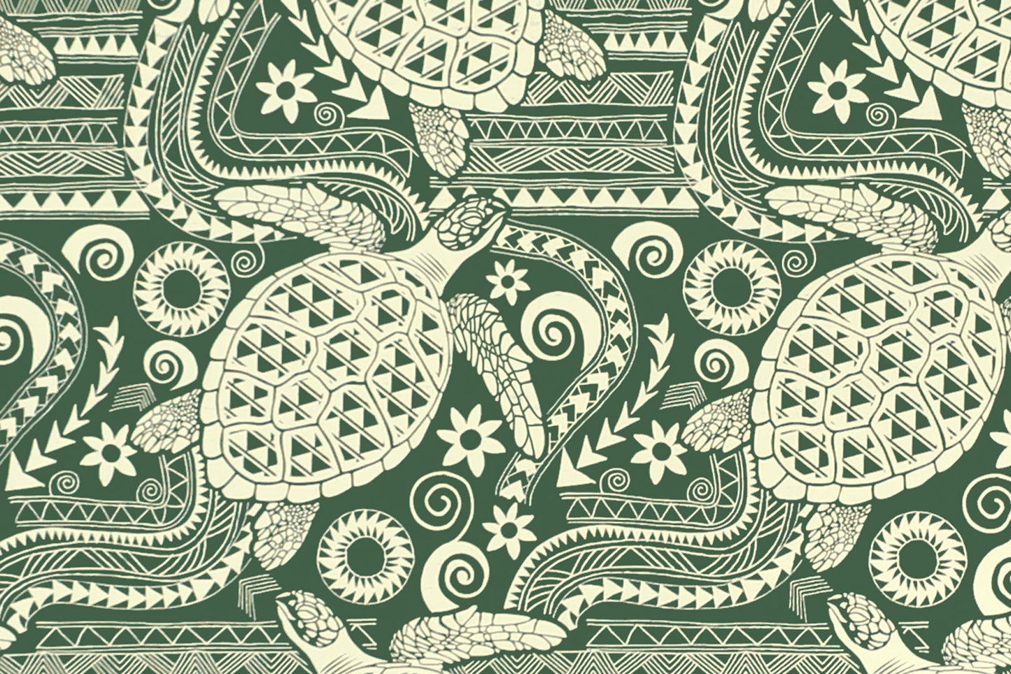 PAC1488 Evergreen