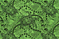 PAC1491 Sage